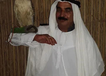 DUBAI BELLY DANCERS