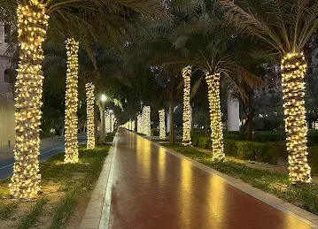 Dubai Can