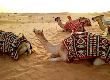 Dubai Day Out