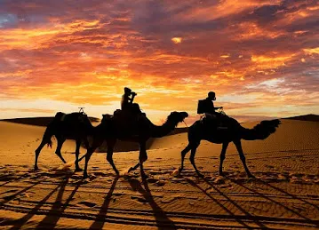 Dubai Desert Fun