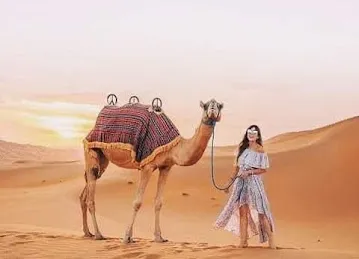 Dubai Desert Safari | Burj Khalifa At The Top | Jet Ski Dubai | Desert Explorers Tourism L.L.C