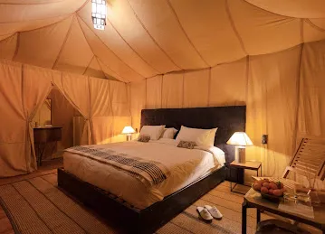Dubai Desert Safari Services - Dubai Explorer Guide