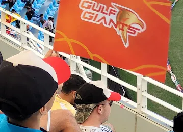 Dubai International Cricket Stadium