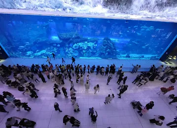 Dubai mall aquarium