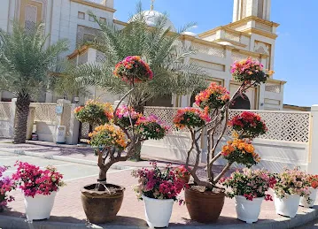 Dubai Municipaclity Nursery 2