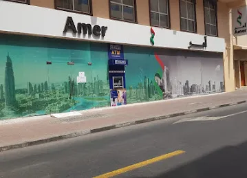Dubai National Government Services - Amer