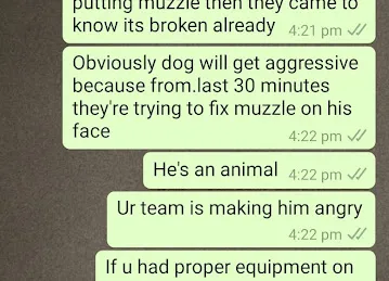 Dubai Pets Grooming