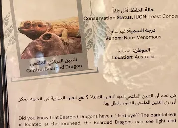 Dubai Safari Park