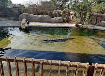 Dubai Safari Parking 2