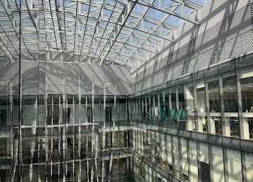 Dubai Sports Council
