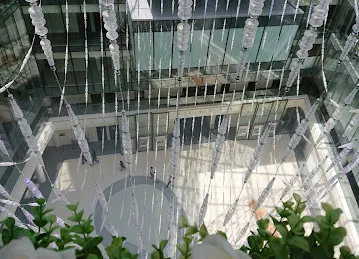 Dubai Sports Council