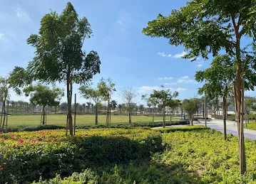 Dunescape Play Area - Dubai Hills Estate Park