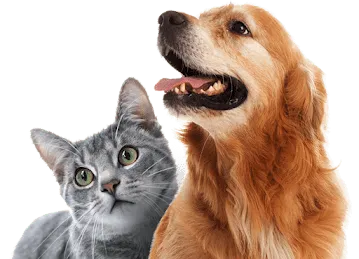 Duo Animal Care