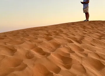 Eagle tours