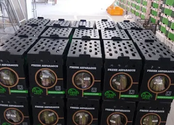 Eco Fresh General Trading LLC