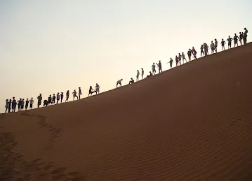 Ecoventure