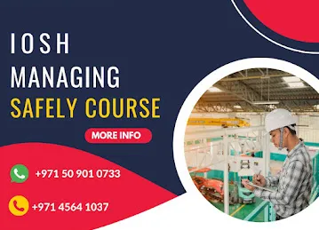 Edgile Training Solutions