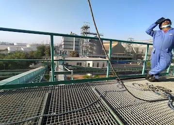 Edible Oil Co LLC