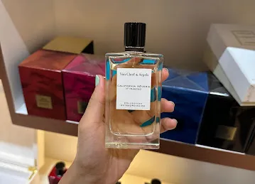 Elegance Style Perfumes And Gifts - Dalma Mall | الجانس ستايل للعطور والهدايا - دلما مول