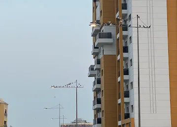Elhas 02 Apartment