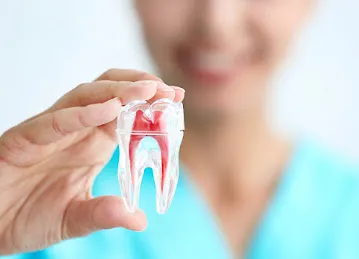 Elite Dental Fabrication Lab