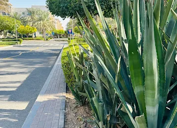 EMAAR Business Park - Building 4