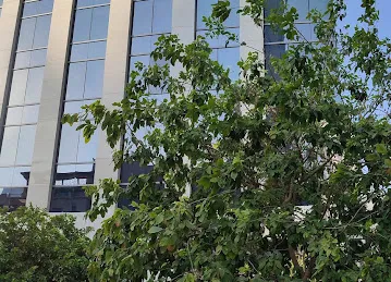 EMAAR Corporate Office HR Department