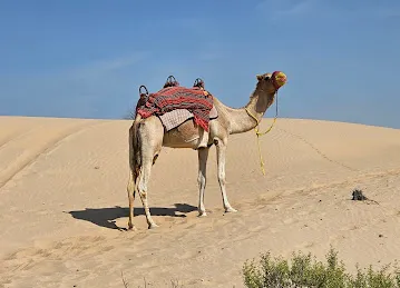 Emirates Tours & Safari Desert Camp