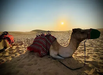 Emirates Tours & Safari Desert Camp