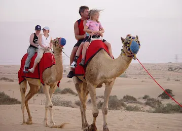 Empire Desert Safari and Tours Dubai