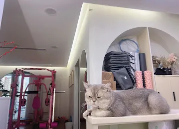 ENJOY YOGA PILATES享瑜伽普拉提