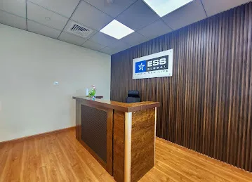ESS GLOBAL EDUCATION L.L.C