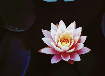 Eternity Yoga Center - Palm Jumeirah