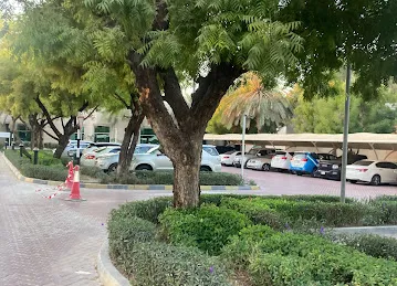 Etisalat Academy