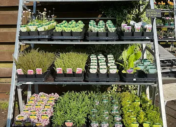 Etisalat SBA Exchange