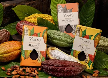 Evok