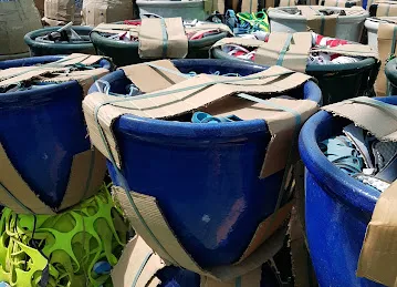 Exotic Plants And Pots Trading