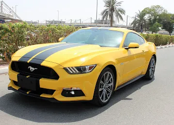 Expert Link Used Automobile Trading L.L.C