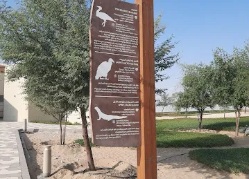 Expo lake Observationarea parking