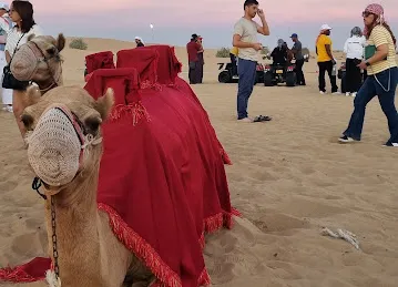 Extreme Desert Safari