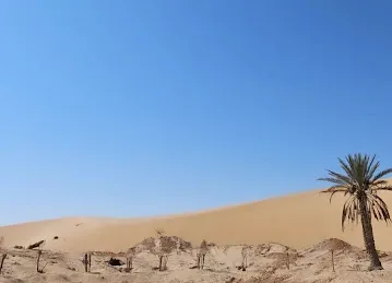 Extreme Desert Safari