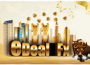 F X E DEAL COMMERCIAL BROKERS L.L.C | Best Forex Broker | Best Forex Trading