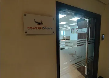 Falcon Force Real Estate Co. LLC