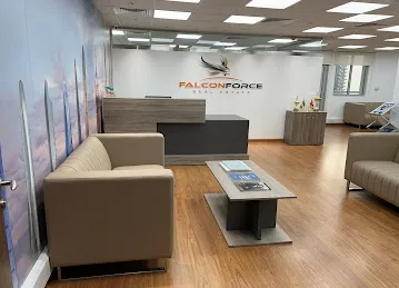 Falcon Force Real Estate Co. LLC