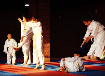 Falcon Sports Academy