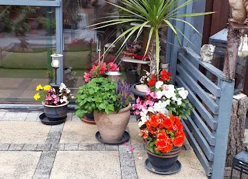 Falcon tower Grosery