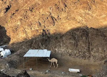 Farm Tolerance