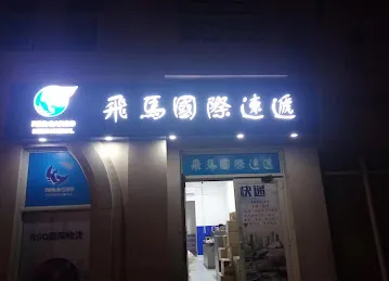 飞马国际速递