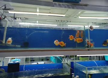 Fins And Tails Pets