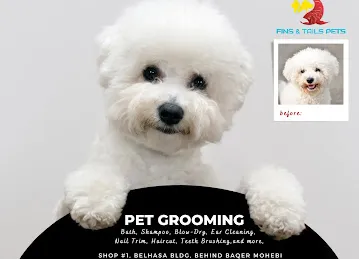 Fins And Tails Pets